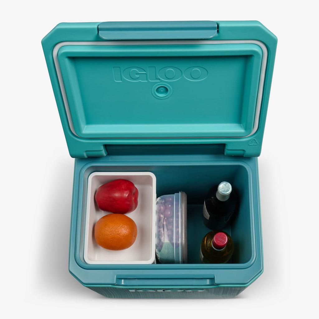 Tag Along Too Spinner Cooler