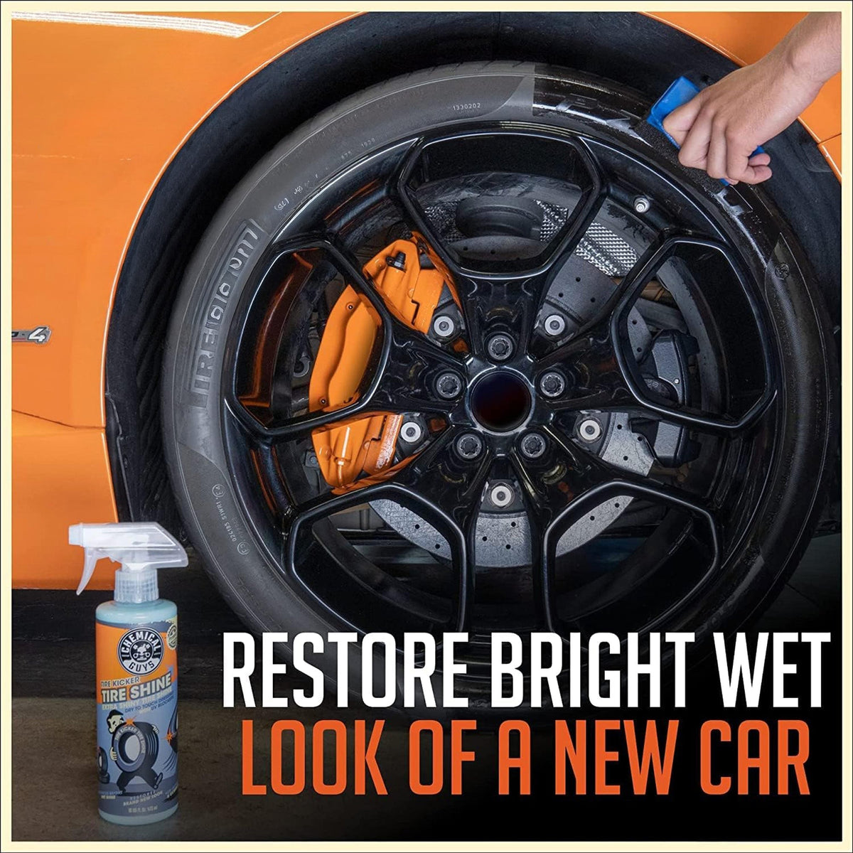 Wheel & Tire Clean & Protect Kit